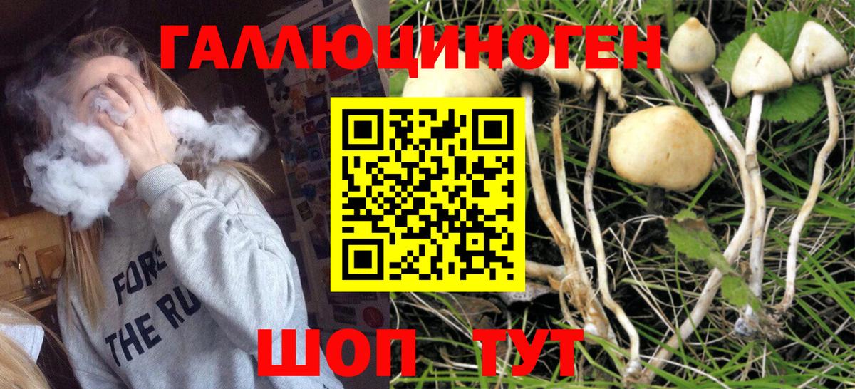 Псилоцибиновые грибы мицелий Миасс