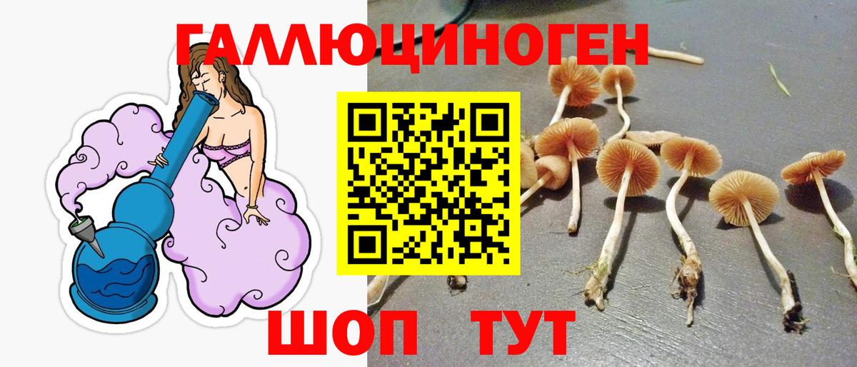 Псилоцибиновые грибы Magic Shrooms  Вход с VPN  где можно купить   Миасс 